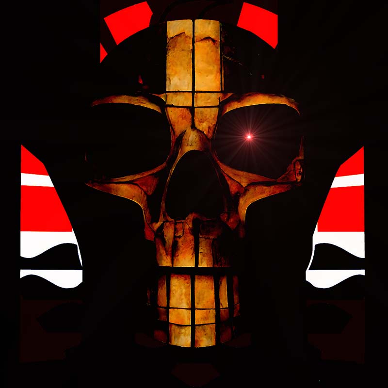 Porinetia skull #10