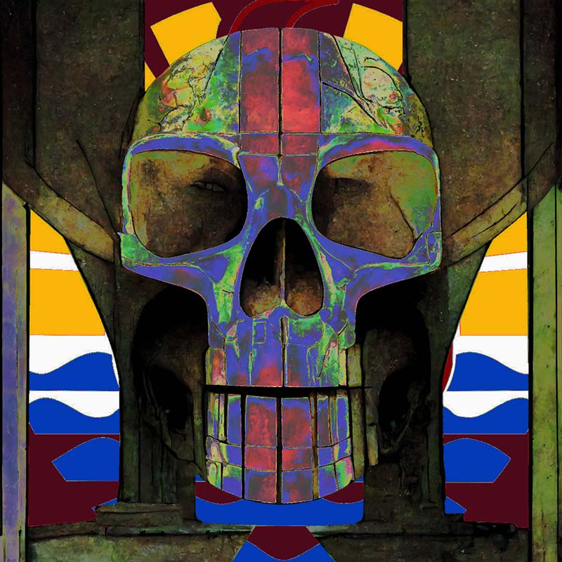 Porinetia skull #12