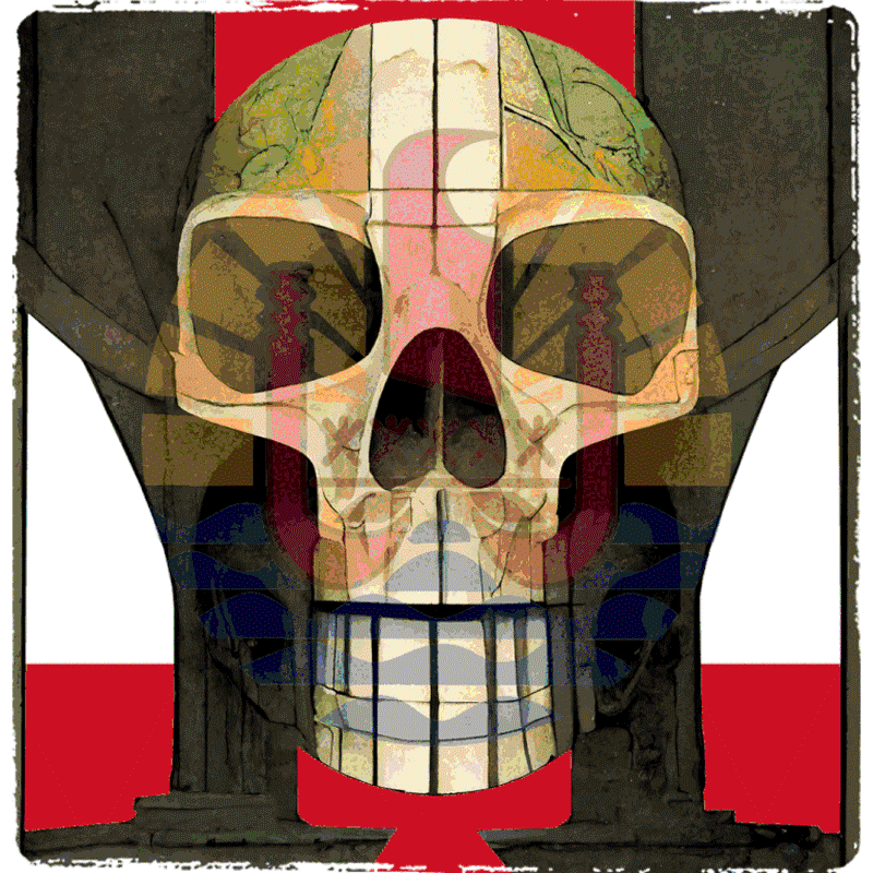 Porinetia skull #13