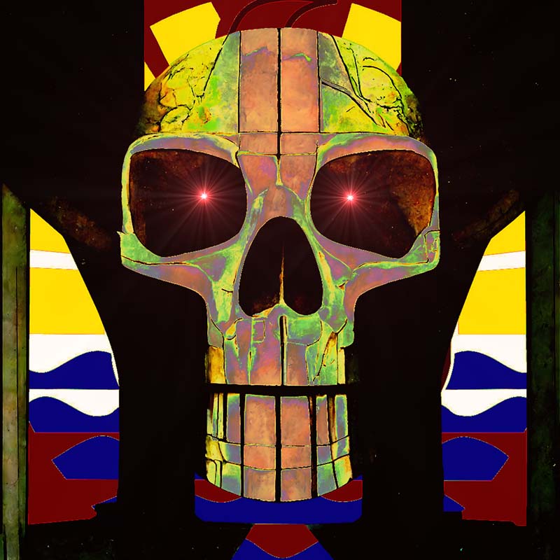 Porinetia skull #3