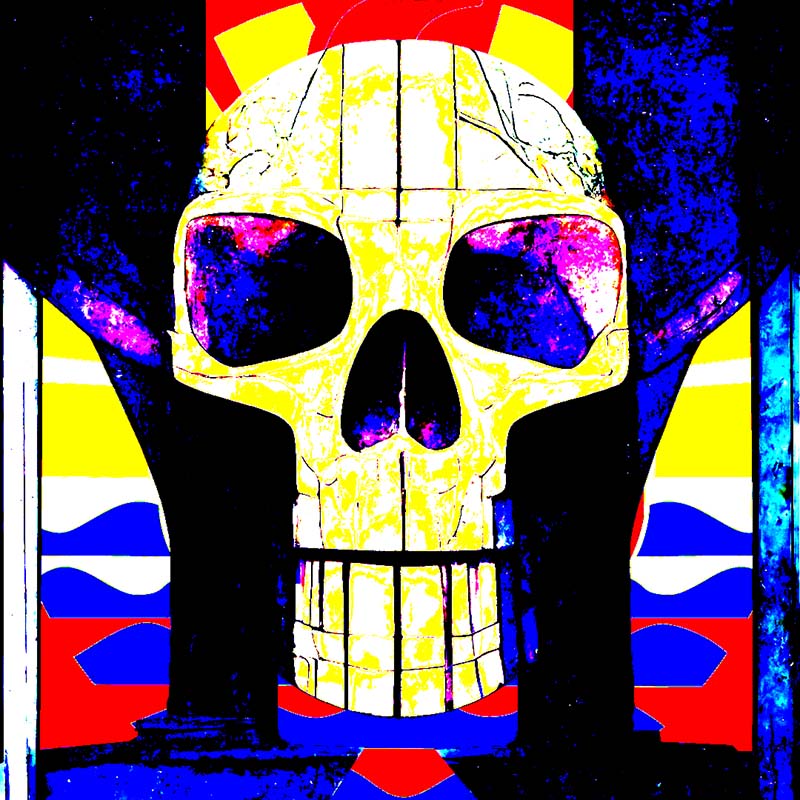 Porinetia skull #8