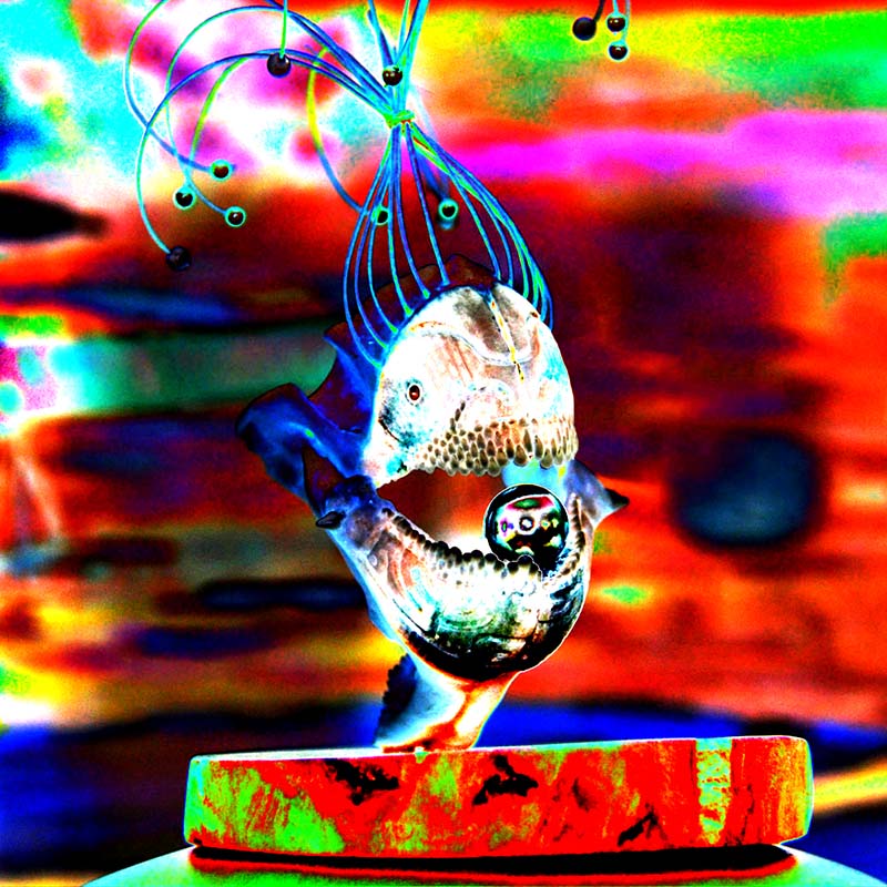 Skull fish #05